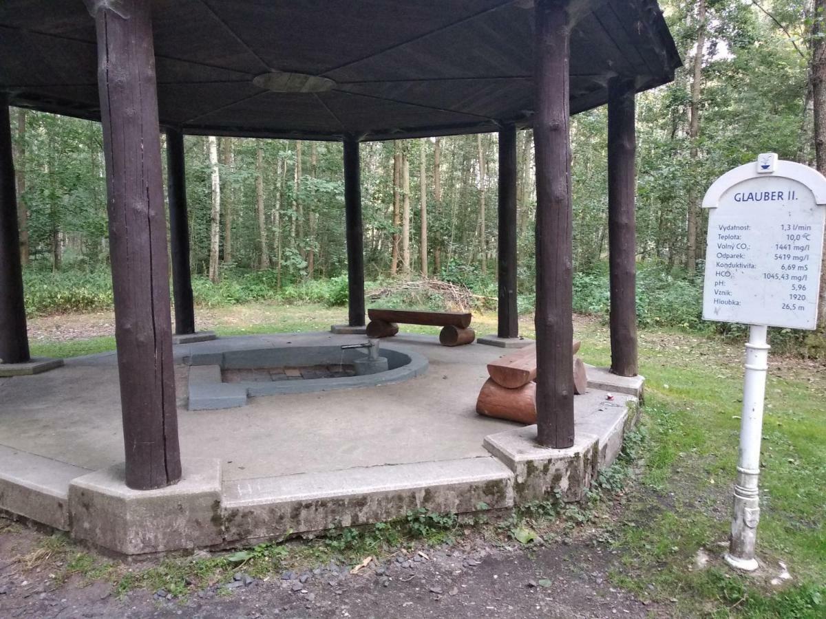 Apartments Ceska Františkovy Lázně エクステリア 写真